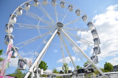 whitewheel h