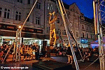 ani nightlight dinner herne 2024