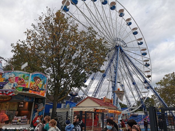 bilder sterkrader herbstvergnuegen