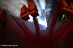 Bilder Cranger Kirmes 08. Aug 2016