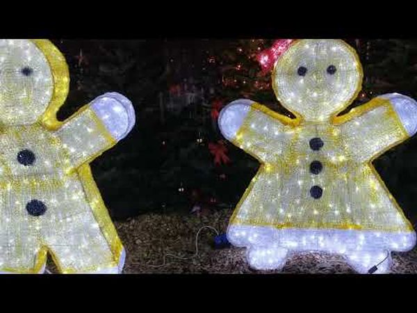 lichterwald yt