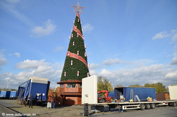 baum1